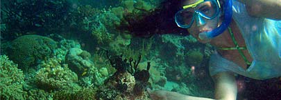 diving in Banda